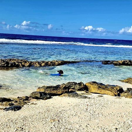 Un Ecrin De Paix Au Soleil Et Proche De La Mer โมโอเรอา ภายนอก รูปภาพ