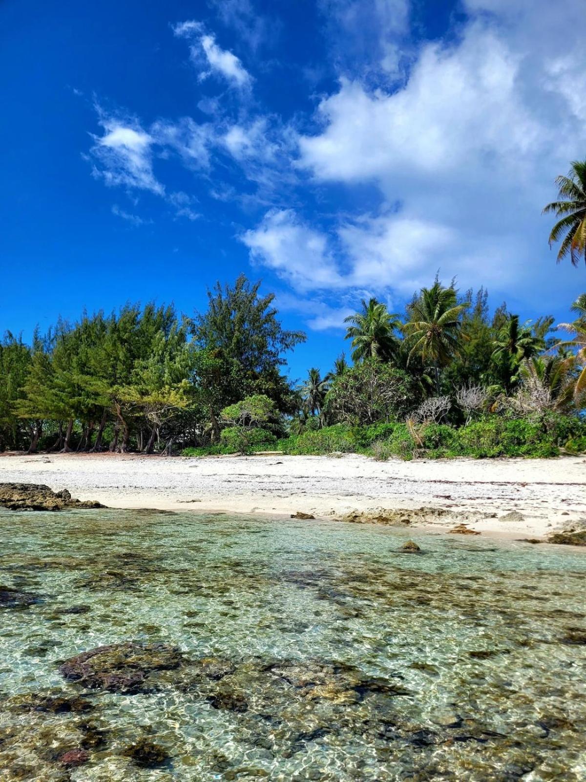 Un Ecrin De Paix Au Soleil Et Proche De La Mer โมโอเรอา ภายนอก รูปภาพ